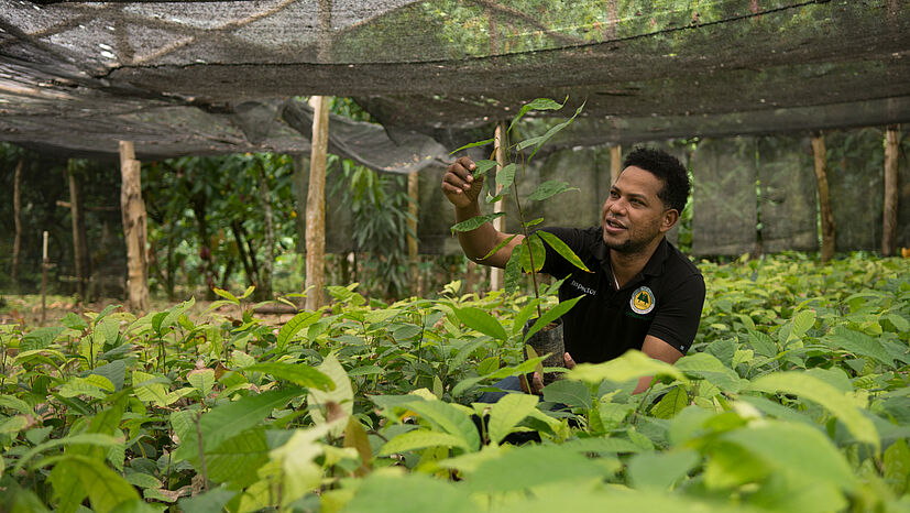 Johan Heredia, Agraringenieur bei COOPROAGRO, Dominikanische Republik, oder ...