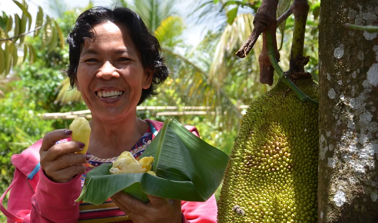 E. Marcon isst Jackfruit von einem großen Blatt und lächelt, neben ihr hängt eine riesige Jackfruit am Baum.