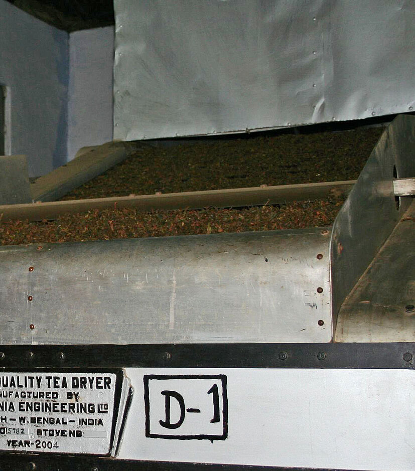 Zum Trocknen und Haltbarmachen kommt der Tee in spezielle Öfen. Bei rund 85 Grad Celsius wird so die Oxidation gestoppt.