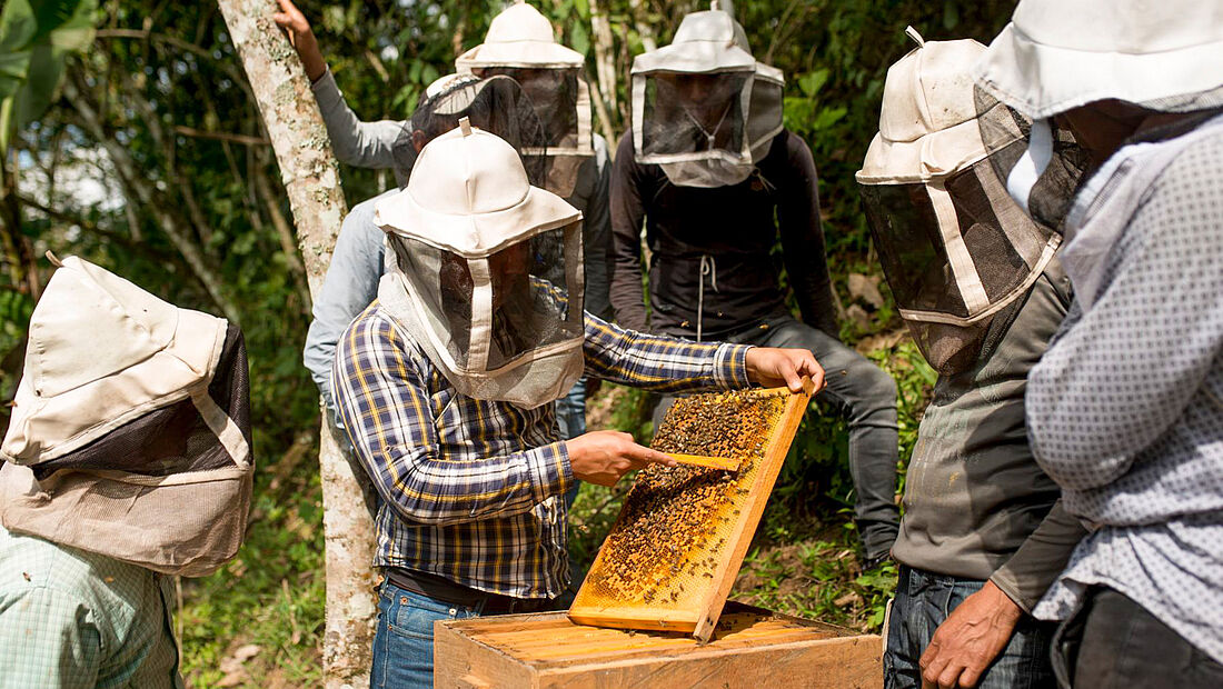 Foto: GEPA – The Fair Trade Company / Rafael Solórzano, Mexiko