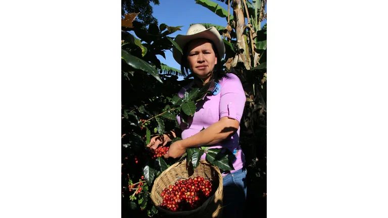 Ana Amparo Santos mit einem Korb voller roter Kaffeekirschen bei der Erntearbeit.