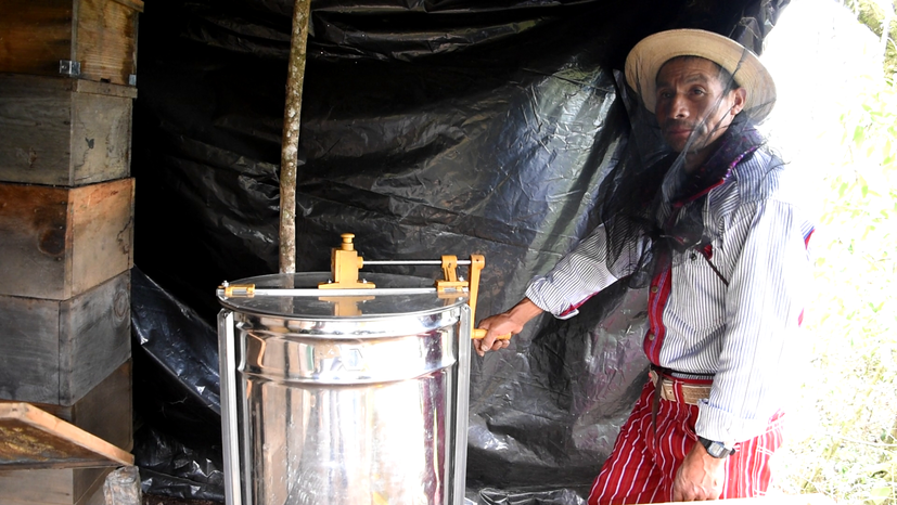 Per Schleuder wird der Honig aus den Bienenwaben herausgelöst. Dieser Schritt erfolgt in der Regel in der Nähe des Bienenstandorts oder bei den Imkern zu Hause | Foto: GEPA – The Fair Trade Company / Nova TV Guatemala