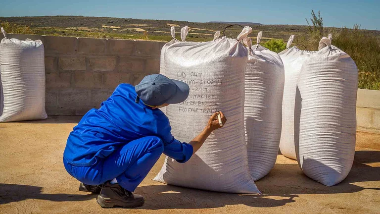 Weiße Säcke stehen in der Sonne. Eine Person im blauen Arbeitsanzug beschriftet einen Sack per Filzstift mit Codes. Auch ist zu lesen "FLO FAIRTRADE"