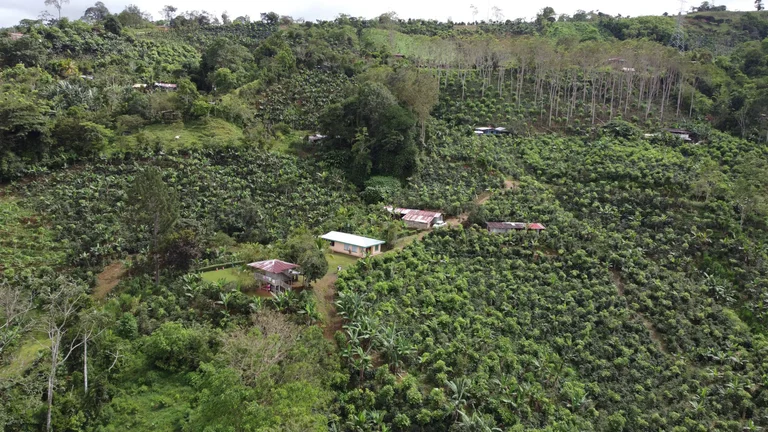 vereinzelte H&auml;user an einem Hang in gr&uuml;ner Landschaft in Costa Rica