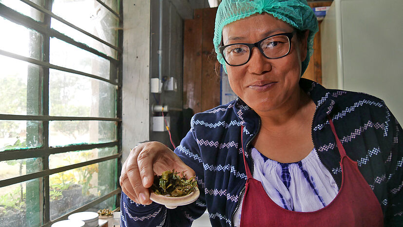 Bhawana Rai („Bauna“ ausgesprochen) war die erste Teegartenmanagerin in ganz Darjeeling. Seit mehr als zehn Jahren koordiniert sie den Teegarten Samabeong und hat sich auch bei den männlichen TPI-Mitgliedern Respekt verschafft. Denn für diese war es anfangs noch ungewohnt sie als Vorgesetzte zu akzeptieren – einfach deshalb, weil es in Indien nicht üblich ist, dass Frauen in der Teebranche in einer Führungsposition arbeiten. Aber das ändert sich zunehmend. Dennoch war TPI einer der ersten Arbeitgeber, der Frauen die Chance gegeben hat aufzusteigen. Ich habe sie während der Reise sehr ins Herz geschlossen, weil sie - obwohl sie diese hohe Position inne hat - jede(n) ihrer Arbeiter(in) gleich herzlich behandelt.