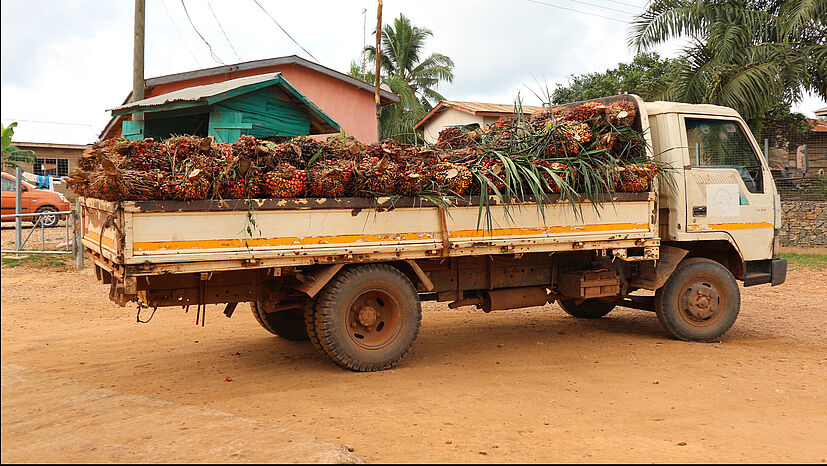 Serendipalm kauft den Farmern die Palmölfrüchte zu einem kostendeckenden Preis ab - dieser liegt über dem lokalen Preis für Palmölfrüchte.