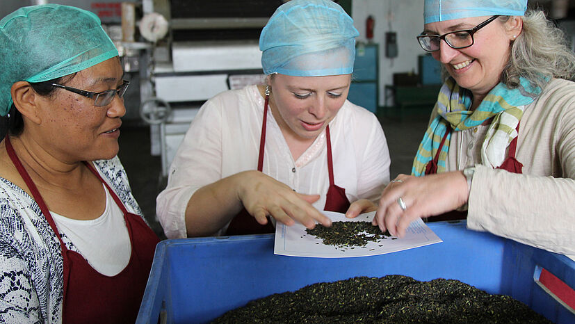 Die Teegartenmanagerin Bhawna Ray (links) zeigt Katja Sahlmüller (rechts) und Marta Matuszewska (Mittte) wie sorgfältig die Teeblätter sortiert sind.