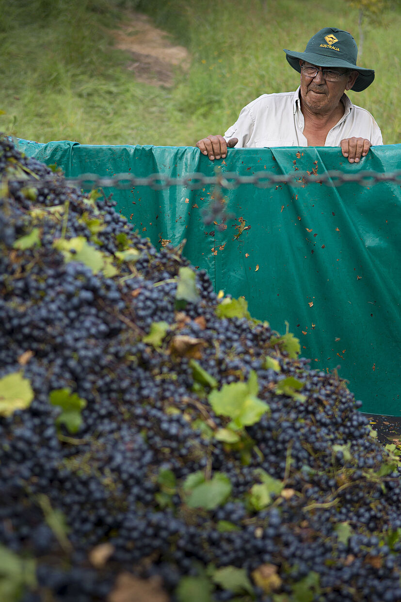 Argentinien gehört zu den weltweit bedeutendsten Weinanbauländern der Welt. Durch die Handelspartnerschaft mit La Riojana können wir ausgezeichnete Rot- und Weißweine in Bio-Qualität verkaufen.