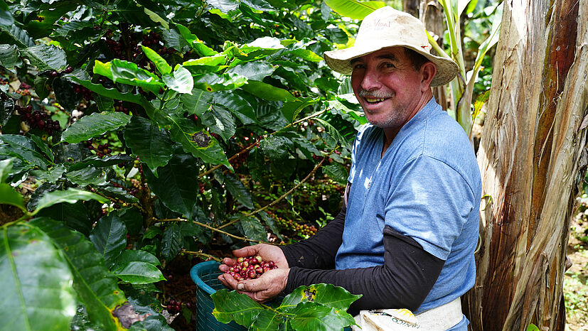 "Nach vier Jahren bezahlen wir die Hälfte der Setzlinge und nach fünf Jahren haben wir sie dann abbezahlt“, erzählt Kaffee-Kleinbauer Fernando Blanco.