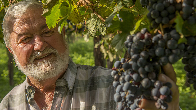 Genuss mit Tradition: Die extrem trockene Provinz La Rioja gilt als älteste Weinbauregion Argentiniens. Die Rebsorten wurden zum Teil von italienischen Einwanderern mitgebracht.