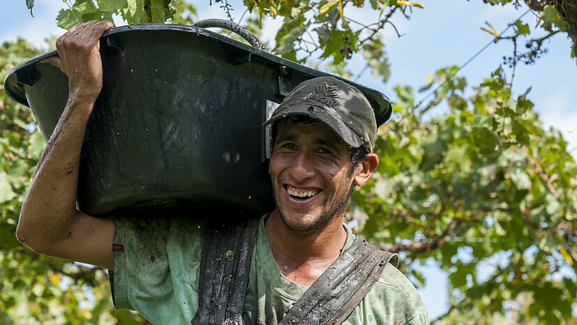 Würdigung harter Arbeit: Der 2020 Bio Solombra Cabernet Sauvignon Bonarda unseres argentinischen Handelspartners La Riojana wurde mit 97 PAR-Punkten beim internationalen bioweinpreis 2021 ausgezeichnet.