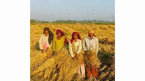 Fotos: Khaddar