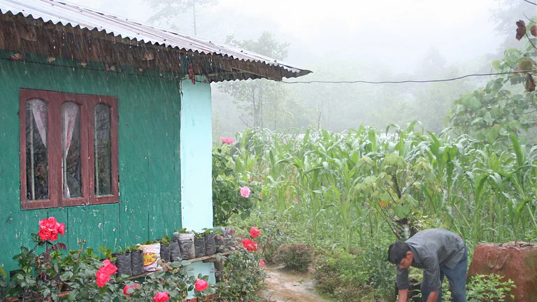 Bishnus vorheriges Haus