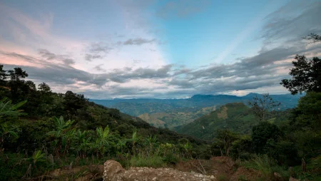 Blick über eine hügelige Landschaft in Mexiko in der Abenddämmerung