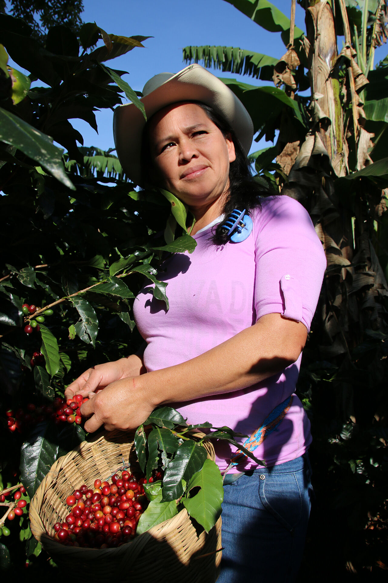 Kaffee bezieht die GEPA ausschließlich von Kleinbauernorganisationen.