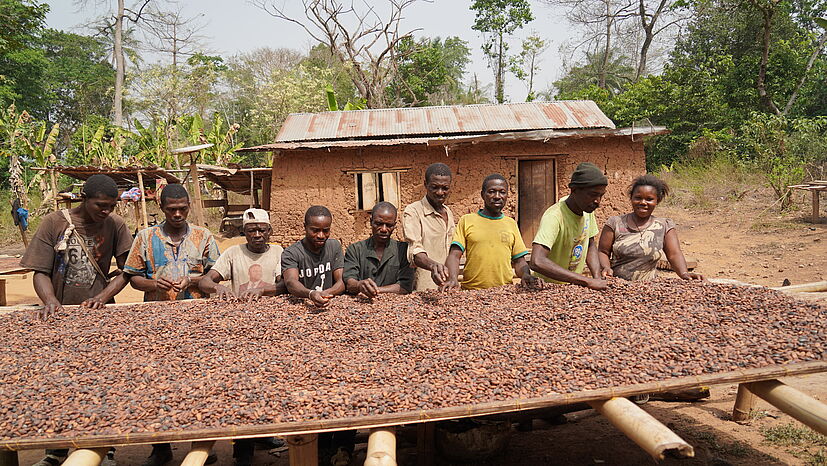 In Badou (Togo) befindet sich die Kooperative IKPA und das zweite Aufbereitungslager von gebana Togo: Die Kakaobohnen werden auf großen Tischen ausgebreitet, um mehrere Tage an der Sonne zu trocknen.