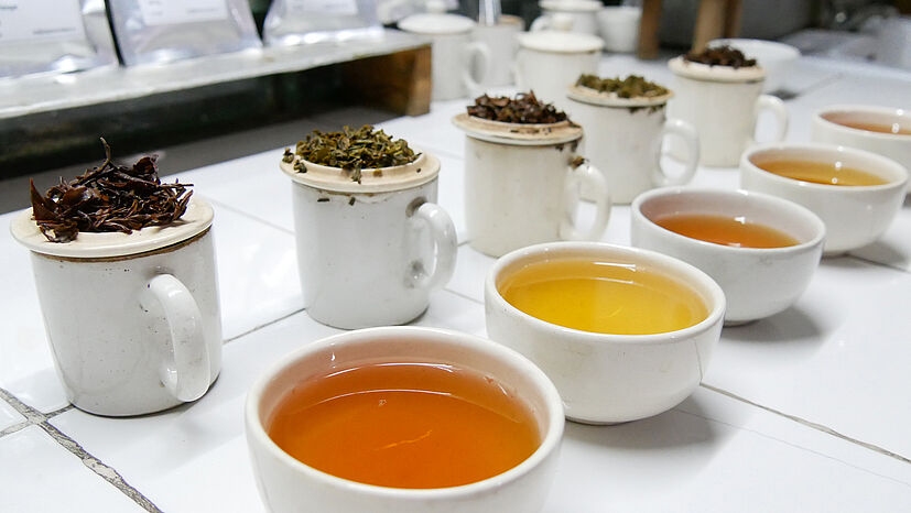 Teeverkostung in Samabeong - Qualitätssicherung ist eine der Aufgaben von Teegartenmanagerin Bhawana Rai.