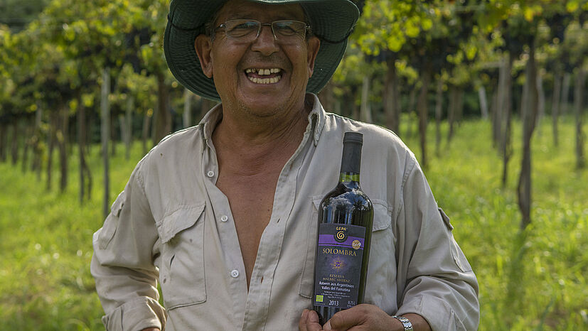 Der Kleinbauer Luis Montilla begutachtet die Traubenernte von seinem 1-Hektar großen Weingut. Sein Vater hat 1940 die Kooperative La Riojana mitgegründet.