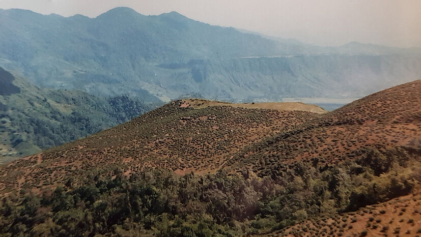 Vor 30 Jahren haben TPI, der Anbauverband Naturland und die GEPA hier den ersten fairen Bio-Teegarten in Darjeeling aufgebaut. Vorher war Samabeong eine in der Kolonialzeit angelegte und dann in den 1980er Jahren wegen politischer Unruhen brachliegende Teeplantage voller verwilderter und hochgewachsener Teebüsche.