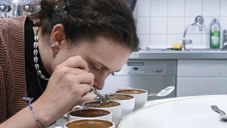 Junge Frau beugt sich &uuml;ber eine Reihe von mit Kaffee gef&uuml;llten Tassen, h&auml;lt einen L&ouml;ffel in eine davon und riecht.