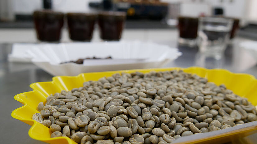 Hier im Kaffeelabor werden die Kaffeebohnen stichprobenweise geschält, eventuell schlechte Bohnen aussortiert, die guten gemahlen, gesiebt und probegeröstet – und schließlich verkostet.