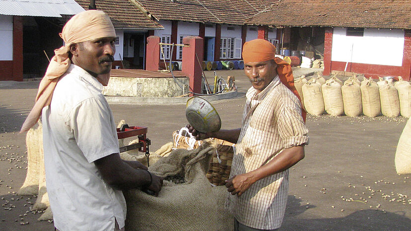 Elements, Indien: Die Kleinbauern leben überwiegend an den Hängen der Bergkette "Western Ghats". Ihre Bio-Cashewnüsse sind die Basis für die leckern GEPA-Weltküche-Pestos und Salsas. Um für Bio-Bauern auch in Indien einen größeren Markt zu schaffen, betreiben sie auch eigene Läden in Kerala.