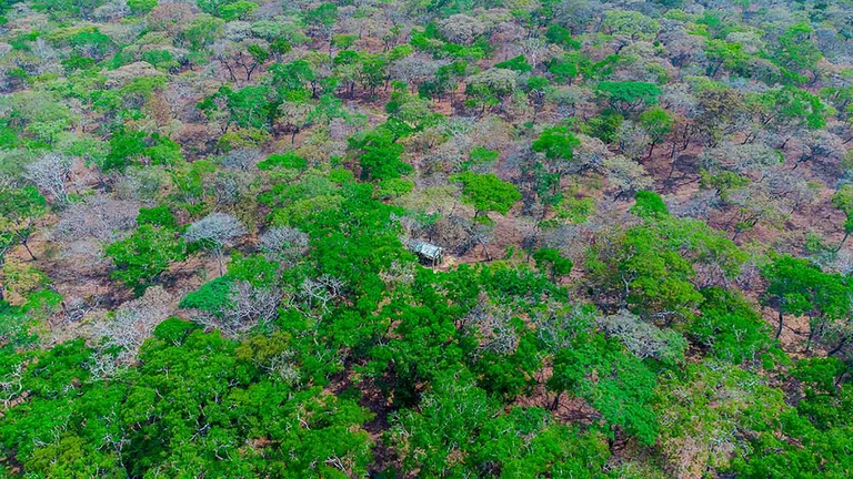 Steppenlandschaft in Tansania von oben