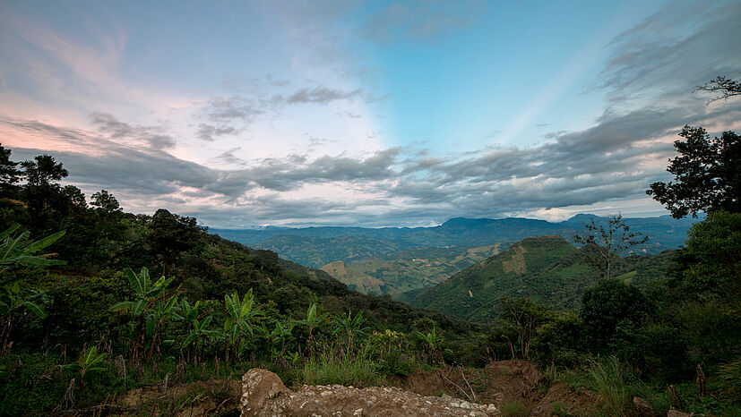 Der Honig unseres Partners Tzeltal Tzotzil stammt aus dem Lacandona-Urwald im Osten des mexikanischen Bundesstaates Chiapas. Hier leben die beiden indigenen Völker Tzeltal und Tzotzil. |