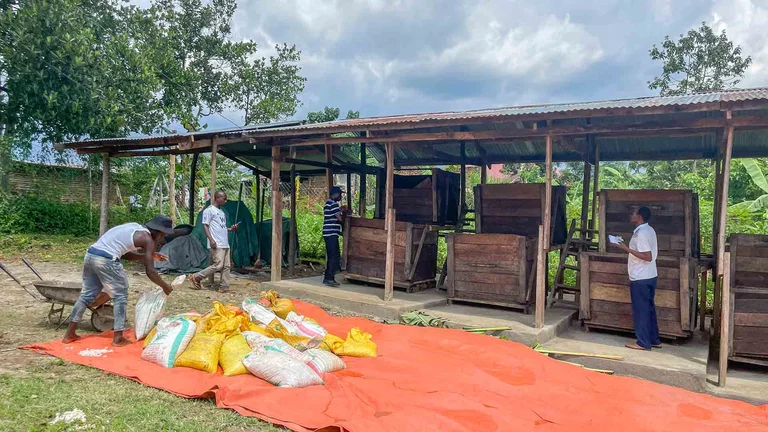 Vier M&auml;nner an gro&szlig;en Holzbeh&auml;ltern unter einem Dach. Davor liegt eine Plane auf dem Gras. Ein Mann stapelt gef&uuml;llte S&auml;cke auf der Plane.