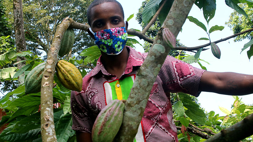 Viele unserer Handelspartner wie hier CECAQ-11 auf São Tomé sind durch die Pandemie massiv eingeschränkt. Vielerorts bedeutet Corona auch einen Rückschlag im Kampf gegen ausbeuterische Kinderarbeit | Foto: CECAQ-11