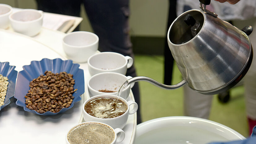 Vorbereitung: Frisch gemahlener Kaffee wird aufgegossen: „Es werden immer fünf Tassen verkostet", erklärte Franziska Bringe, GEPA-Einkaufsmanagerin Kaffee. Das Wasser sollte dabei nicht zu heißt sein: „92 bis 96 Grad Celsius sind optimal.“