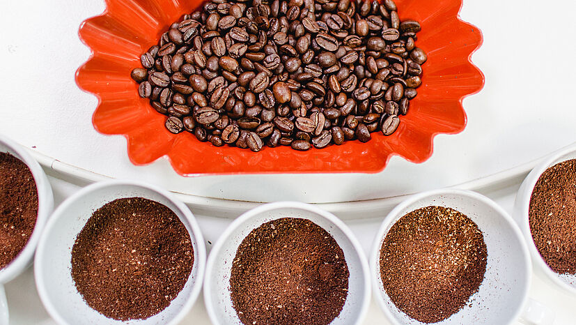 Von jedem Vorverschiffungsmuster werden fünf Tassen Kaffee verkostet. Dafür werden die gerösteten Bohnen gemahlen… 