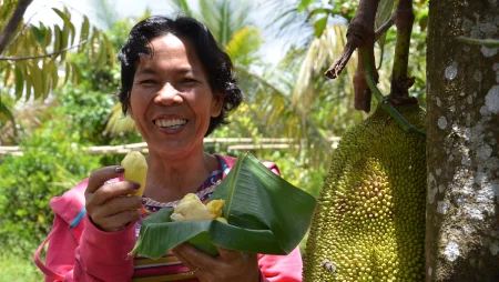 Frau isst Jackfruit von einem großen Blatt und lächelt, neben ihr hängt eine riesige Jackfruit am Baum.