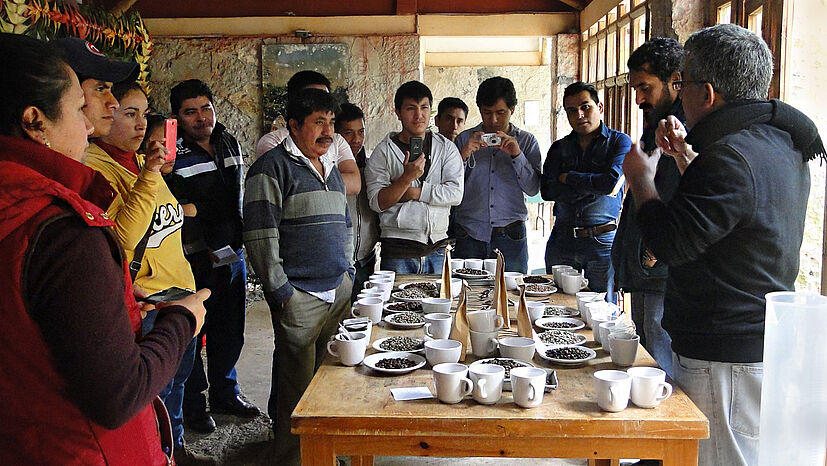 Kleber Cruz-Garcia vom GEPA-Produktmanagement  Kaffee (ganz rechts) hat einige Proben von anderen Kaffeegenossenschaften aus verschiedenen Ländern mitgebracht, um den Genossenschaftsmitgliedern und der Reisegruppe bei der Schulung die große Bandbreite an Geschmack und Aromen zu zeigen.
