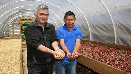 Zwei Männer stehen unter einem Trocknungszelt für Kaffeebohnen. Der linke hält helle Bohnen in der Hand, die auch auf dem Tisch neben ihm ausgelegt sind. Beim rechten das gleiche mit rötlichen Bohnen.