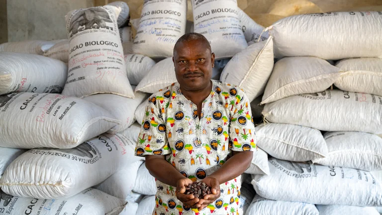 Ein Mann steht vor einem Haufen S&auml;cke und h&auml;lt Kakaobohnen in den H&auml;nden