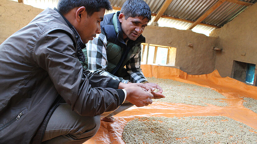 Besonders wichtig war der Wiederaufbau der acht sogenannten „Pulping Center“. 
Nur so können die Mitglieder von CCU Lalitpur den Kaffee verarbeiten und verkaufen. 