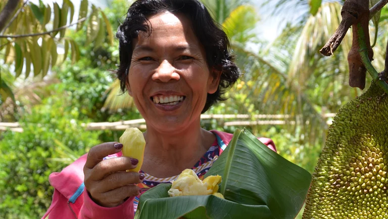 E. Marcon isst Jackfruit von einem großen Blatt und lächelt, neben ihr hängt eine riesige Jackfruit am Baum.