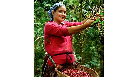 GEPA - The Fair Trade Company / K. Henkel