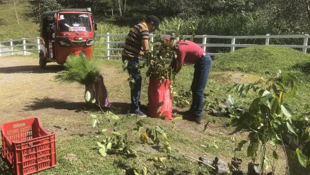 Zwei M&auml;nner in einer Baumschule hantieren an einem roten Sack, aus dem ein junger Baum guckt.