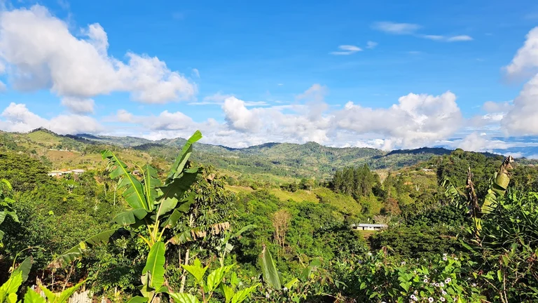 Gr&uuml;ne Landschaft unter blauem Himmel in Costa Rica
