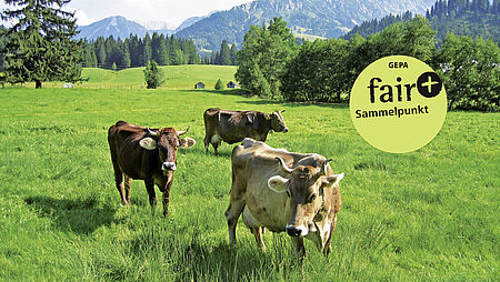 Faire Woche 2013: Fairer Handel mit dem "Plus"