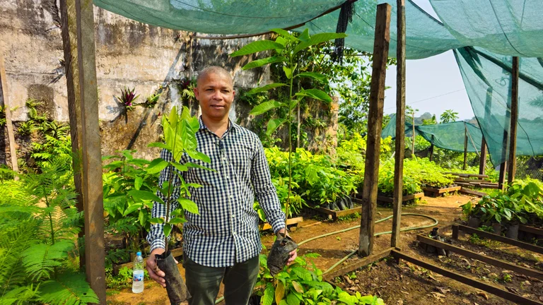 Mann steht mit kleinen Baumsetzlingen in der Hand in einer Baumschule
