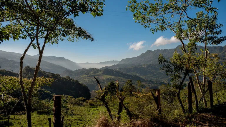 Landschaftsaufnahme: Grüne Hügel und blauer Himmel in der mexikanischen Region Chiapas