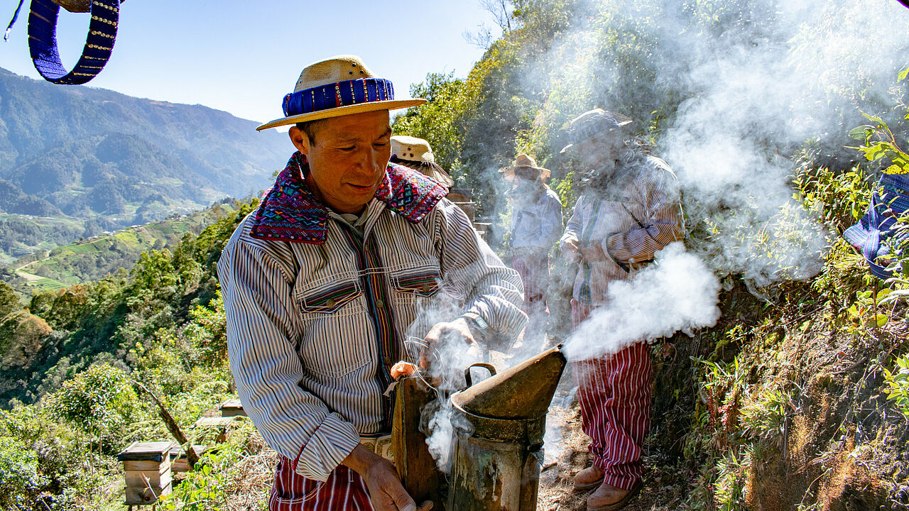 Der von den Imkern eingesetzte Rauch dient der Beruhigung der Bienen. Gerade in Mittelamerika sind die Bienen sonst sehr aggressiv. | Foto: GEPA – The Fair Trade Company / Nova TV Guatemala