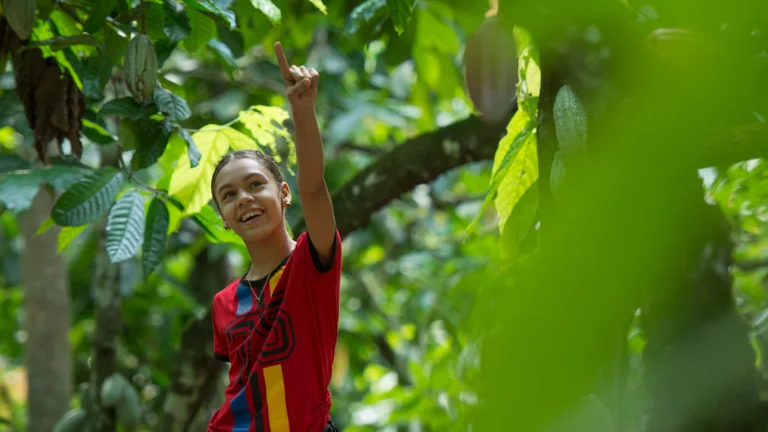 M&auml;dchen steht in einem Kakaowald und deutet nach oben