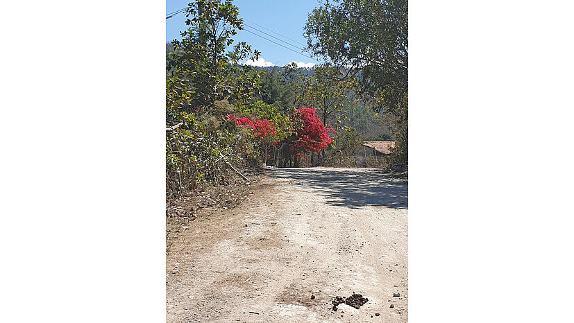 „Dann ging es zum zweiten Hauptsitz der Kooperative auf den Berg El Pelón.“ 