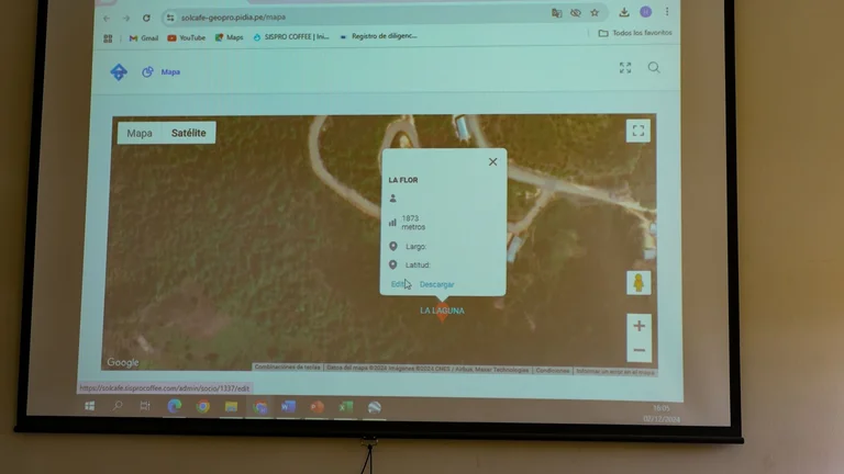 Auf eine Leinwand wird ein Satellitenbild von Google Maps gezeigt, auf dem viel Wald zu sehen ist.