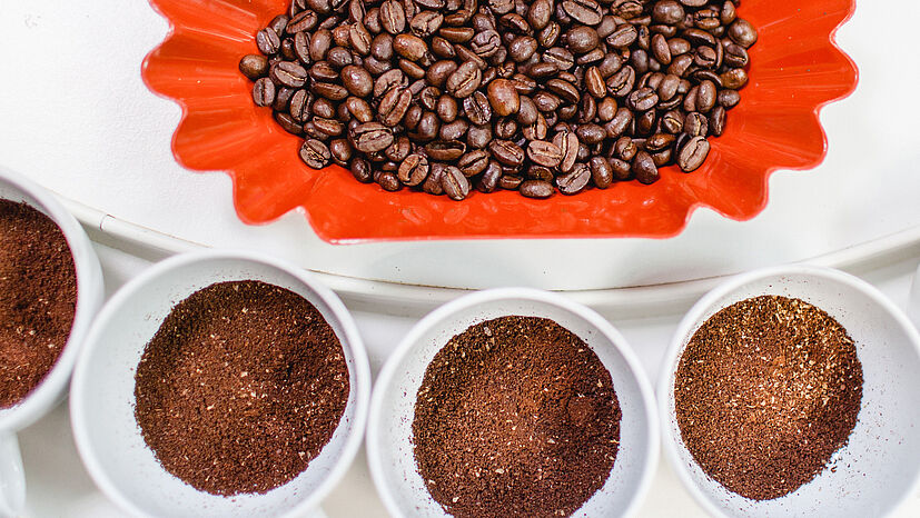 Von jedem Vorverschiffungsmuster werden fünf Tassen Kaffee verkostet. Dafür werden die gerösteten Bohnen gemahlen… 
