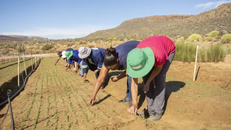 Sechs Personen stehen in einer Reihe auf einem Feld und s&auml;en etwas an.